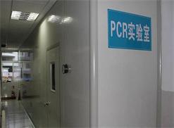 PCR实验室1